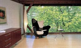 �ذ���ҵӰ��֮5������