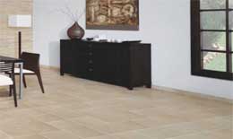 2009���Ƕ��й�ÿһ����ҵ�ġ�ȫ����족