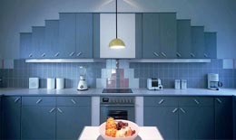 2009�������ҵ�������ŵĻƽ���